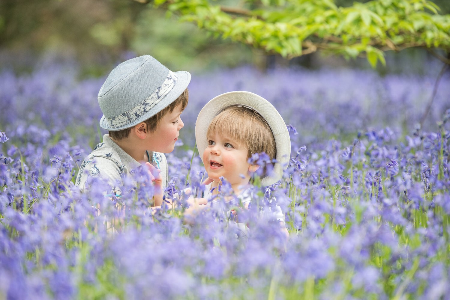 Bluebell Boys. Photograph of brothers and love in the bluebells. Winkworth Arboretum, Godalming, Surrey